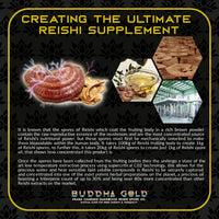 Thumbnail for Primal Alchemy - Buddha Gold 30ml (Reishi Spore Oil)