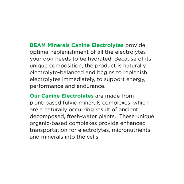 BEAM Minerals - Advanced Canine Mineral and Electrolyte Replenishment Set (Canine Multi Minerals & Electrolytes)