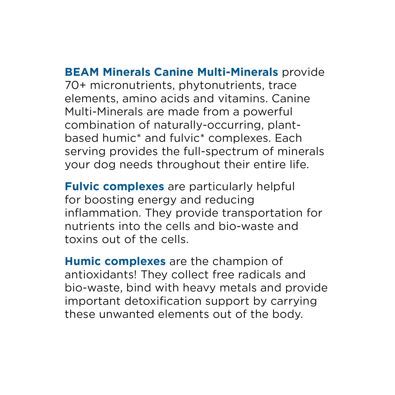 Beam Minerals - Advanced Canine Mineral and Electrolyte Replenishment Set (Canine Multi Minerals & Electrolytes)