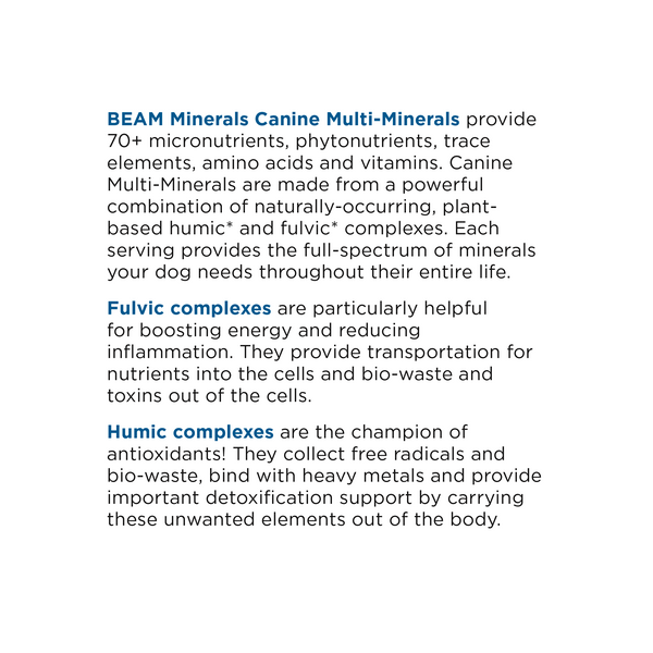 BEAM Minerals - Advanced Canine Mineral and Electrolyte Replenishment Set (Canine Multi Minerals & Electrolytes)