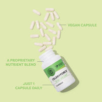 Thumbnail for Vimergy Herbs - Celeryforce 60caps (Magnesium Glycinate, Inositol, L-Glutamine, L-Taurine, and Choline)