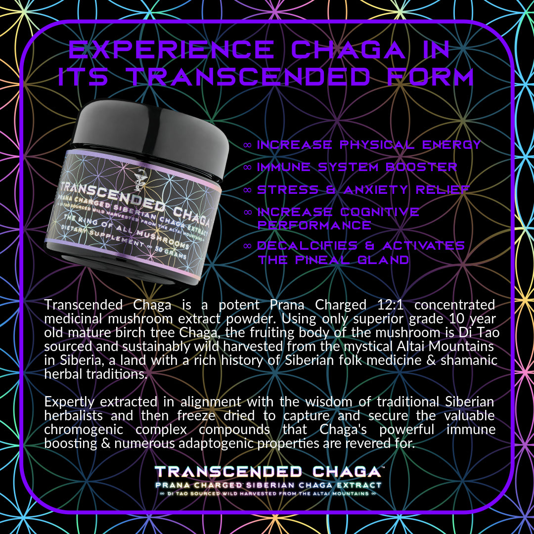 Primal Alchemy - Transcended Chaga 50g