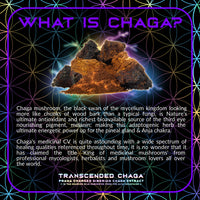 Thumbnail for Primal Alchemy - Transcended Chaga 50g