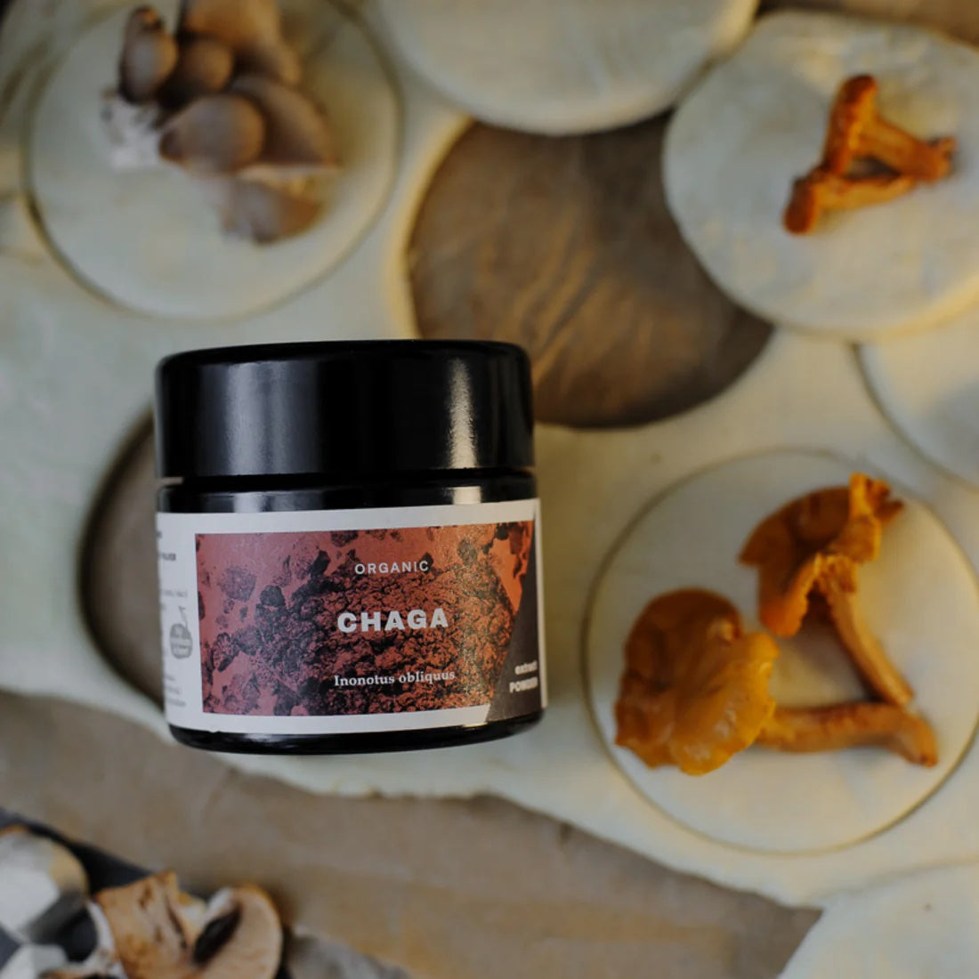 KAAPA Health - Chaga Extract Powder 30g