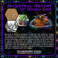 Thumbnail for Primal Alchemy - Transcended Chaga 50g