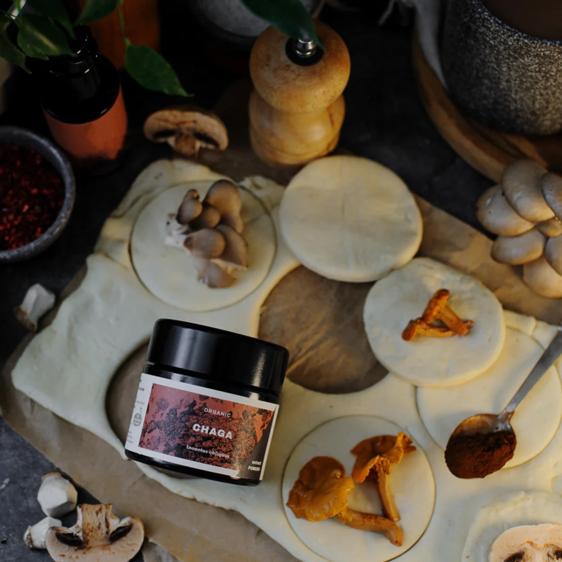 KAAPA Health - Chaga Extract Powder 30g