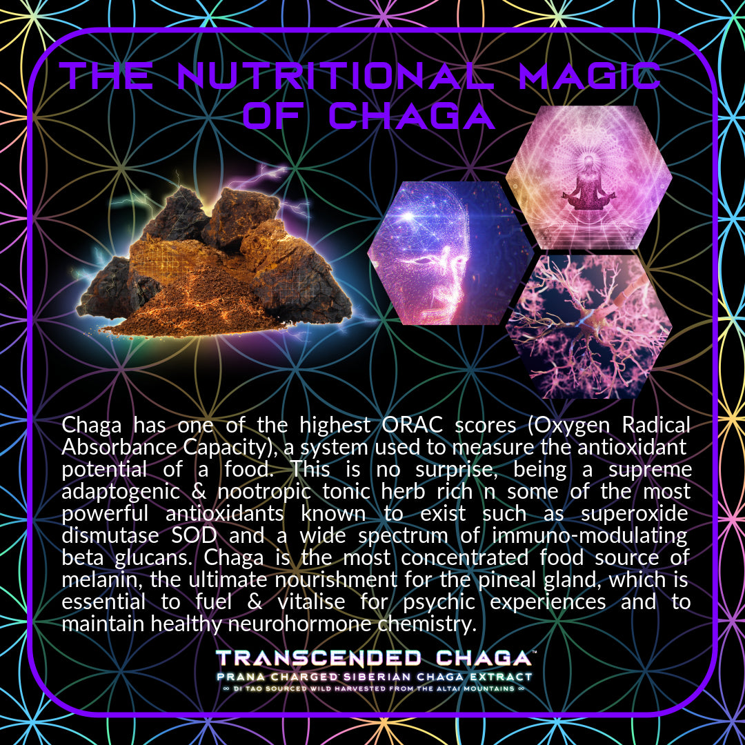 Primal Alchemy - Transcended Chaga 50g