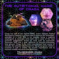 Thumbnail for Primal Alchemy - Transcended Chaga 50g