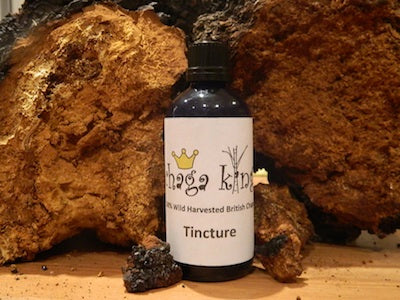 Wild Chaga King Tincture 50ml (100% British Wild Chaga)