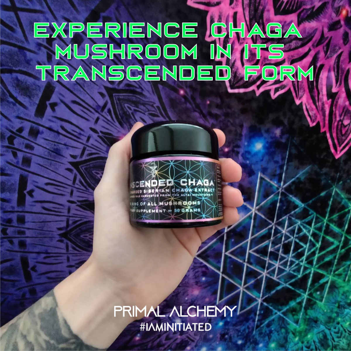 Primal Alchemy - Transcended Chaga 50g