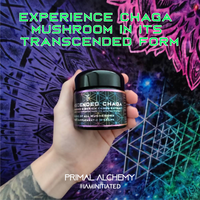 Thumbnail for Primal Alchemy - Transcended Chaga 50g