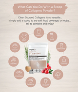 Thumbnail for Organixx - Clean Sourced Collagens 270g (30 Servings)