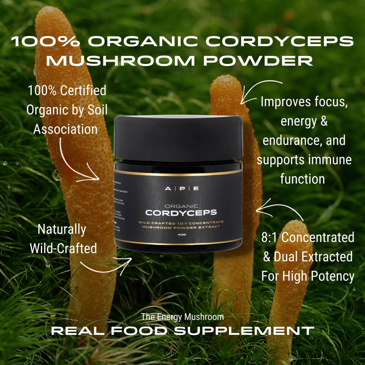 APE Nutrition - Organic Cordyceps Mushroom Powder | Concentrated Extract (40g)