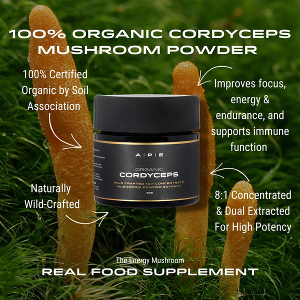 APE Nutrition - Organic Cordyceps Mushroom Powder | Concentrated Extract (40g)