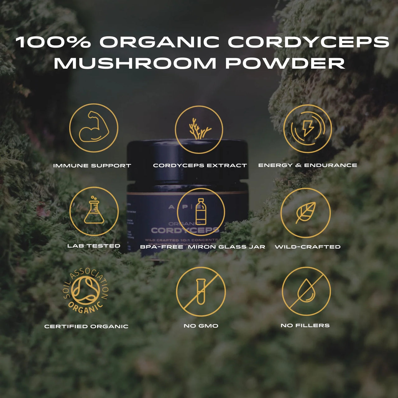 APE Nutrition - Organic Cordyceps Mushroom Powder | Concentrated Extract (40g)