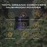 Thumbnail for APE Nutrition - Organic Cordyceps Mushroom Powder | Concentrated Extract (40g)