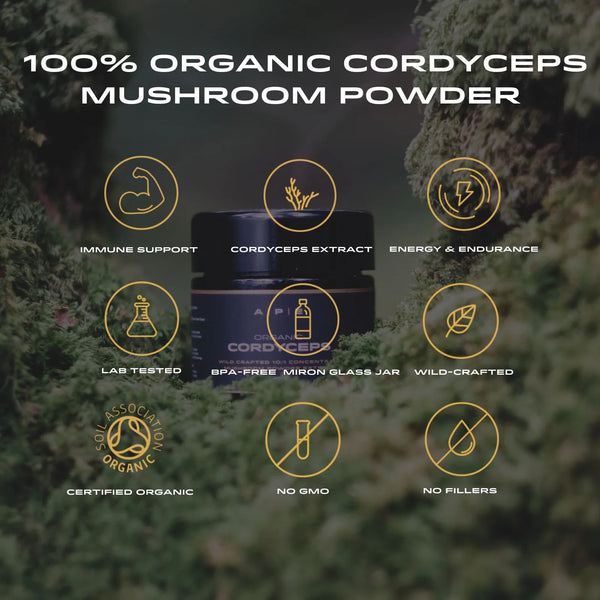 APE Nutrition - Organic Cordyceps Mushroom Powder | Concentrated Extract (40g)