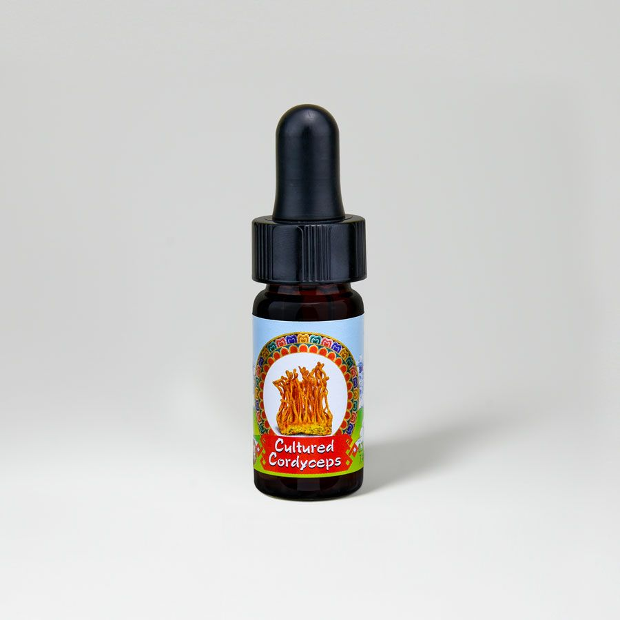 Dragon Herbs - Cultured Cordyceps Mini Drops 0.25oz (7.5ml)