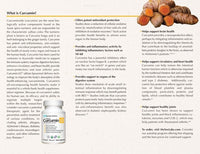 Thumbnail for Sovereign Labs Curcumin LD 500mg 60 caps