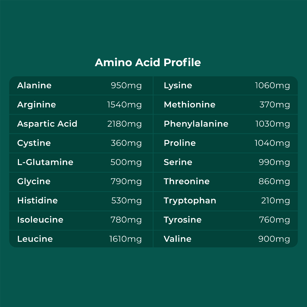 Cymbiotika - Plant Protein 848g