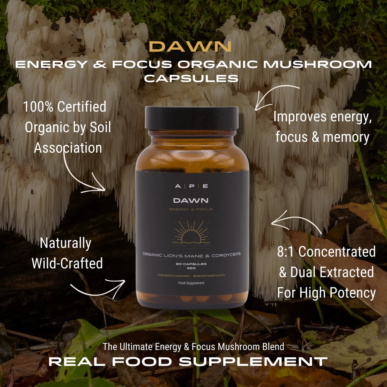 APE Nutrition - Dawn Mushroom Capsules | Lion’s Mane & Cordyceps Blend (80caps)