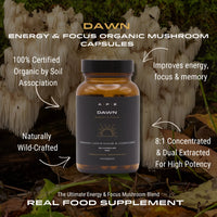 Thumbnail for APE Nutrition - Dawn Mushroom Capsules | Lion’s Mane & Cordyceps Blend (80caps)