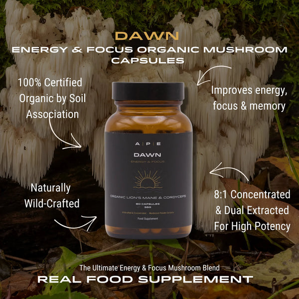 APE Nutrition - Dawn Mushroom Capsules | Lion’s Mane & Cordyceps Blend (80caps)