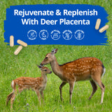 Thumbnail for Dragon Herbs - Deer Placenta (60caps/ 500mg)