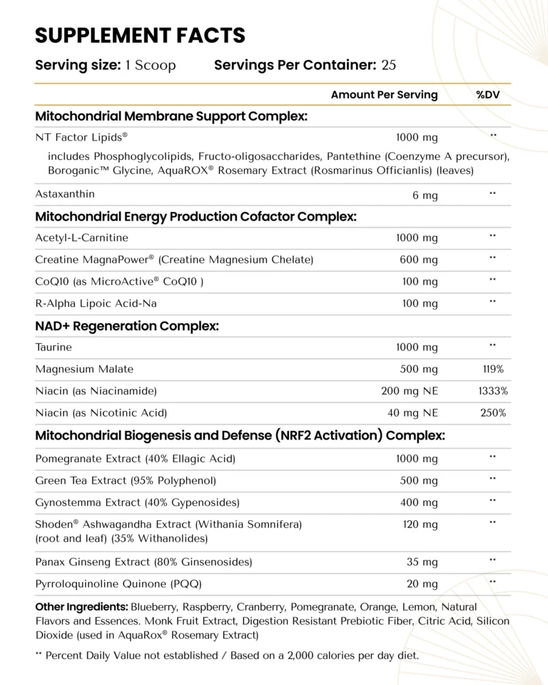 The Energy Blueprint - Human Optimization - Energenesis | Energy Support Formula (432.5g/15.26oz)