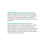 Thumbnail for BEAM Minerals - Advanced Feline Mineral and Electrolyte Replenishment Set (Feline Multi Minerals & Electrolytes)