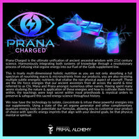 Thumbnail for Primal Alchemy - Matrix Green Prana Energiser Water Bottle 1 Litre