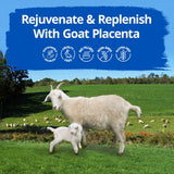 Thumbnail for Dragon Herbs - Goat Placenta (60caps/500mg)