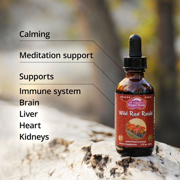 Dragon Herbs Wild Red Reishi Drops 240ml (8floz)