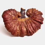 Thumbnail for Dragon Herbs Wild Red Reishi Drops 2fl oz (60ml)
