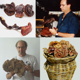 Thumbnail for Dragon Herbs Wild Red Reishi Drops 240ml (8floz)