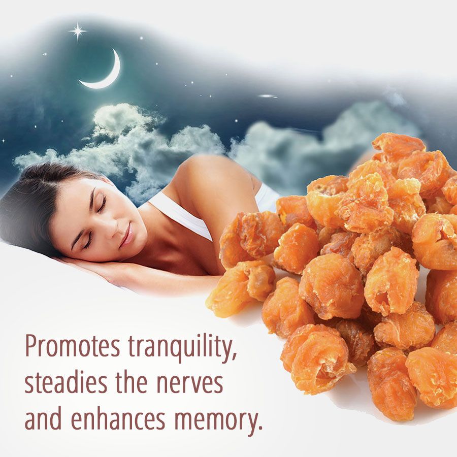 Dragon Herbs Longan Fruit Drops 60ml (2floz)