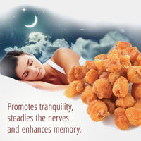 Thumbnail for Dragon Herbs Longan Fruit Drops 60ml (2floz)