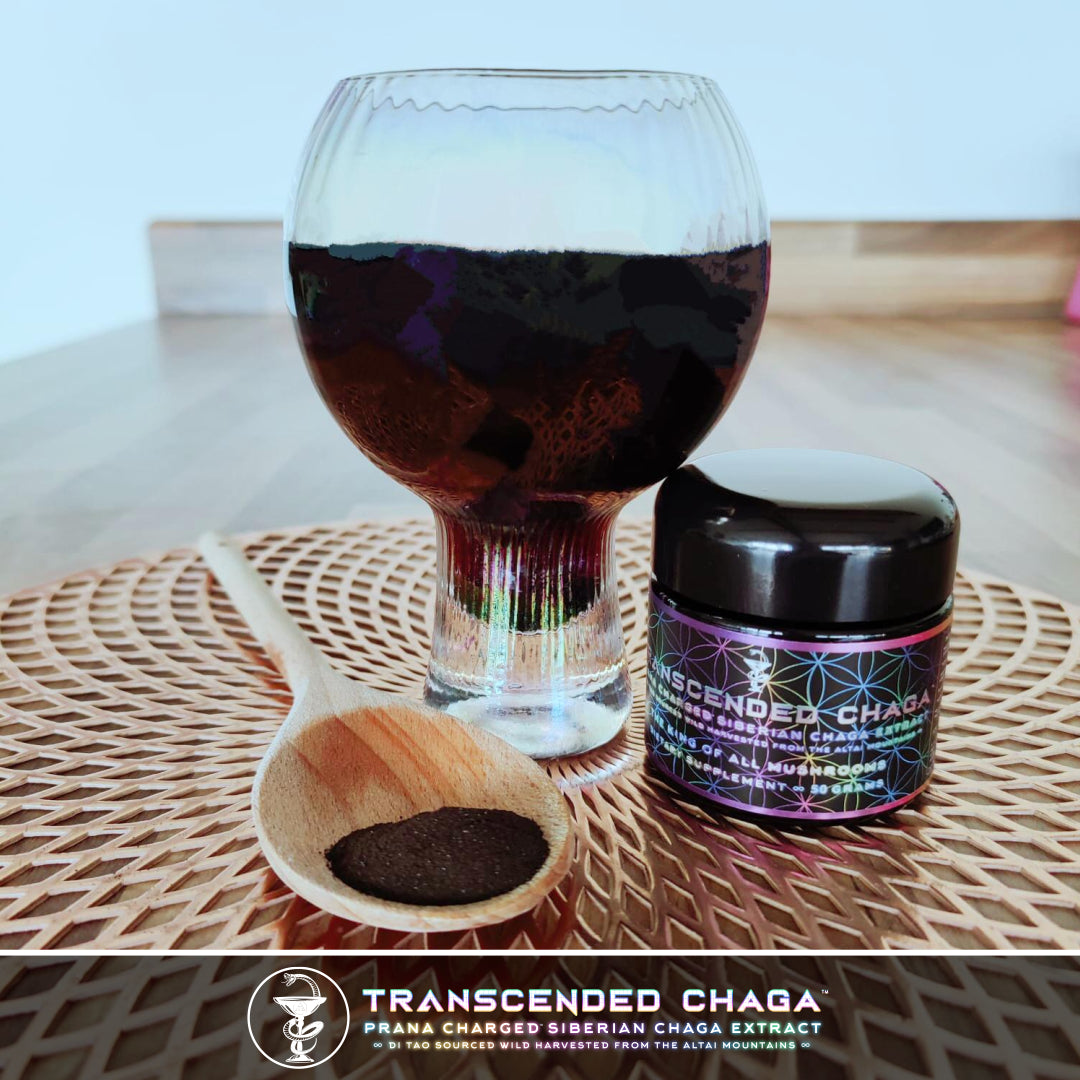 Primal Alchemy - Transcended Chaga 50g