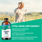 Thumbnail for Vimergy Herbs - Liquid B12 Refill (240ml)
