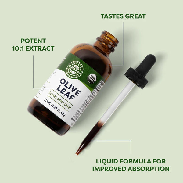 Vimergy Herbs - Olive Leaf 115ml