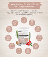 Thumbnail for Organixx - Clean Sourced Collagens 180g (20 Servings)