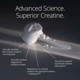 Thumbnail for Qualia Creatine+ (158g) | Advanced Creatine Complex (OptiCreatine + Creatine MagnaPowder)