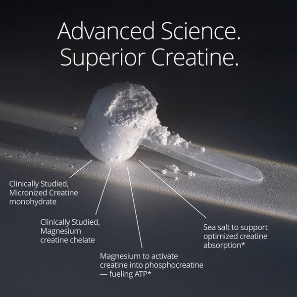 Qualia Creatine+ (158g) | Advanced Creatine Complex (OptiCreatine + Creatine MagnaPowder)