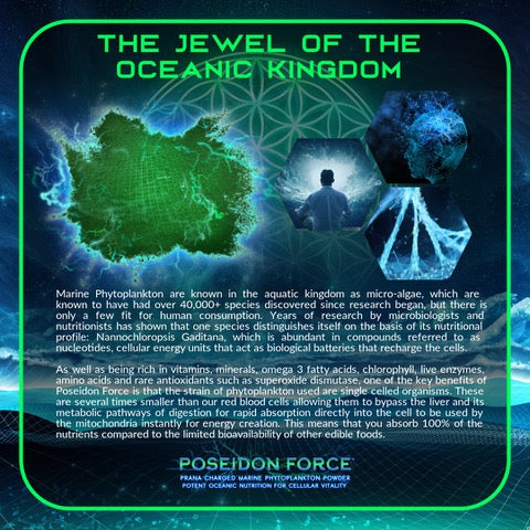 Primal Alchemy - Poseidon Force 100g (Marine Phytoplankton)