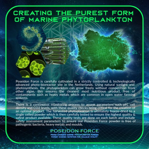 Primal Alchemy - Poseidon Force 100g (Marine Phytoplankton)