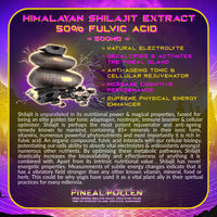 Thumbnail for Primal Alchemy - Pineal Pollen 100g