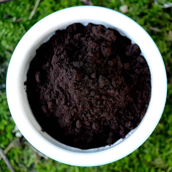 Nyishar - Chaga Polaris 100g