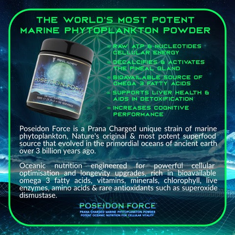 Primal Alchemy - Poseidon Force 100g (Marine Phytoplankton)