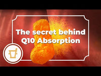 Pharma Nord - Bio-Ubiquinol™ Active QH (100mg/60 caps)