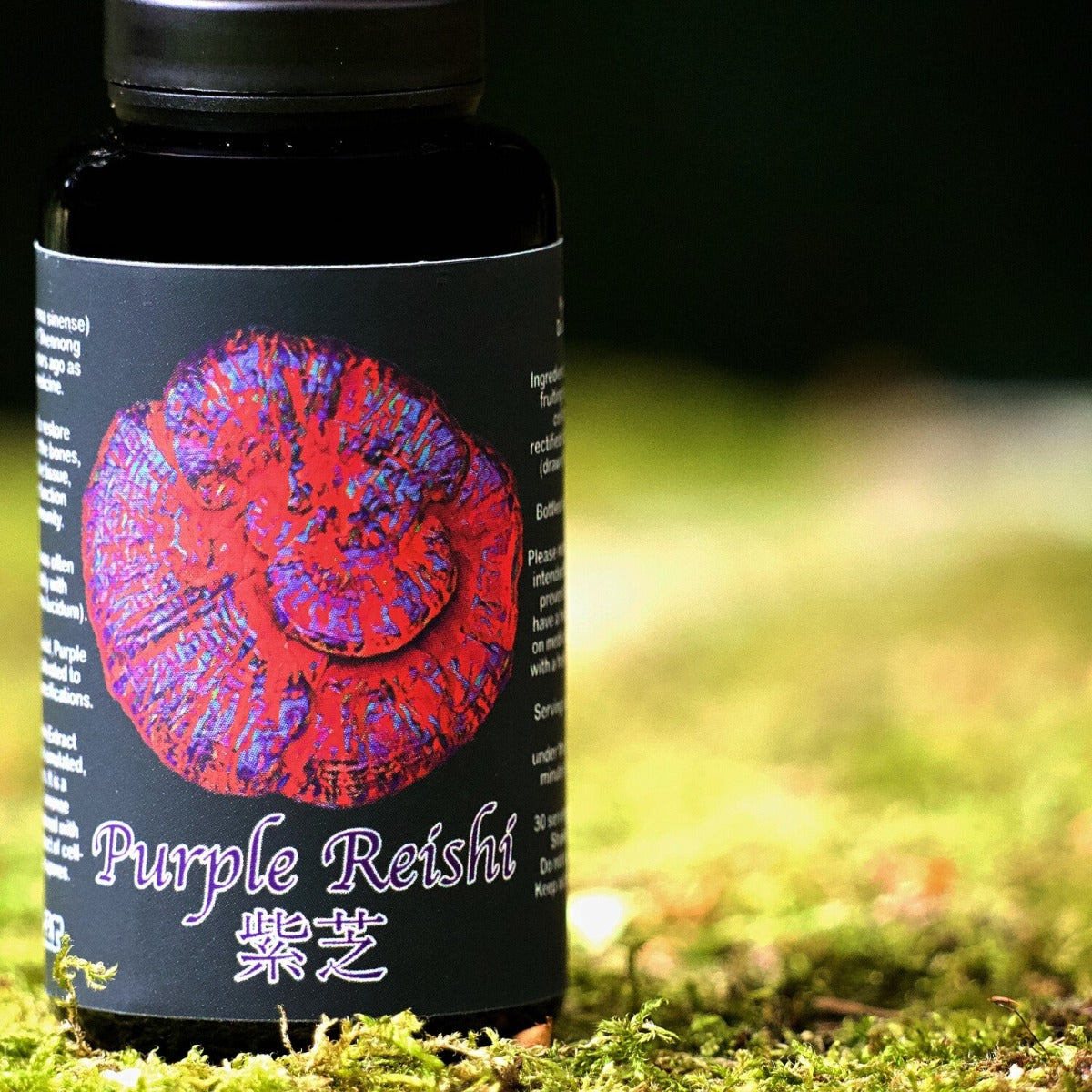 Nyishar – Purple Reishi with spores - 30ml